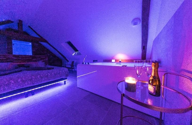 L'évasion-SPA-Hammam-Sauna Illimité - 2 à 4 pers Saint-Cyr-sur-Loire Esterno foto